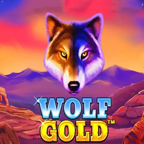 Win2Chill Casino mobile app